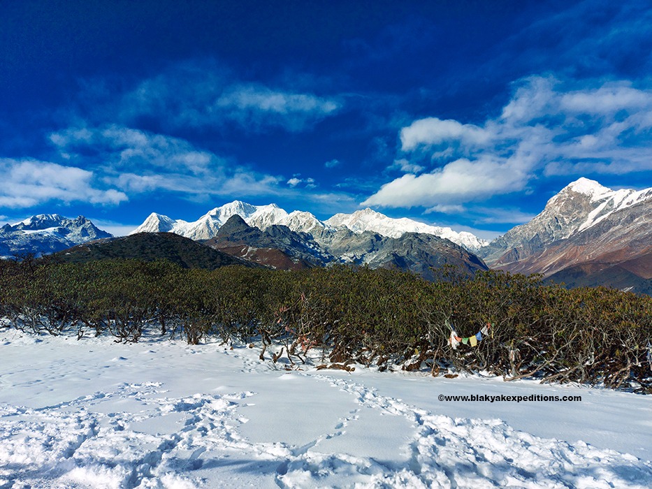 Spectacular view of Kanchenjunga and other peaks as seen from Dzongri top.