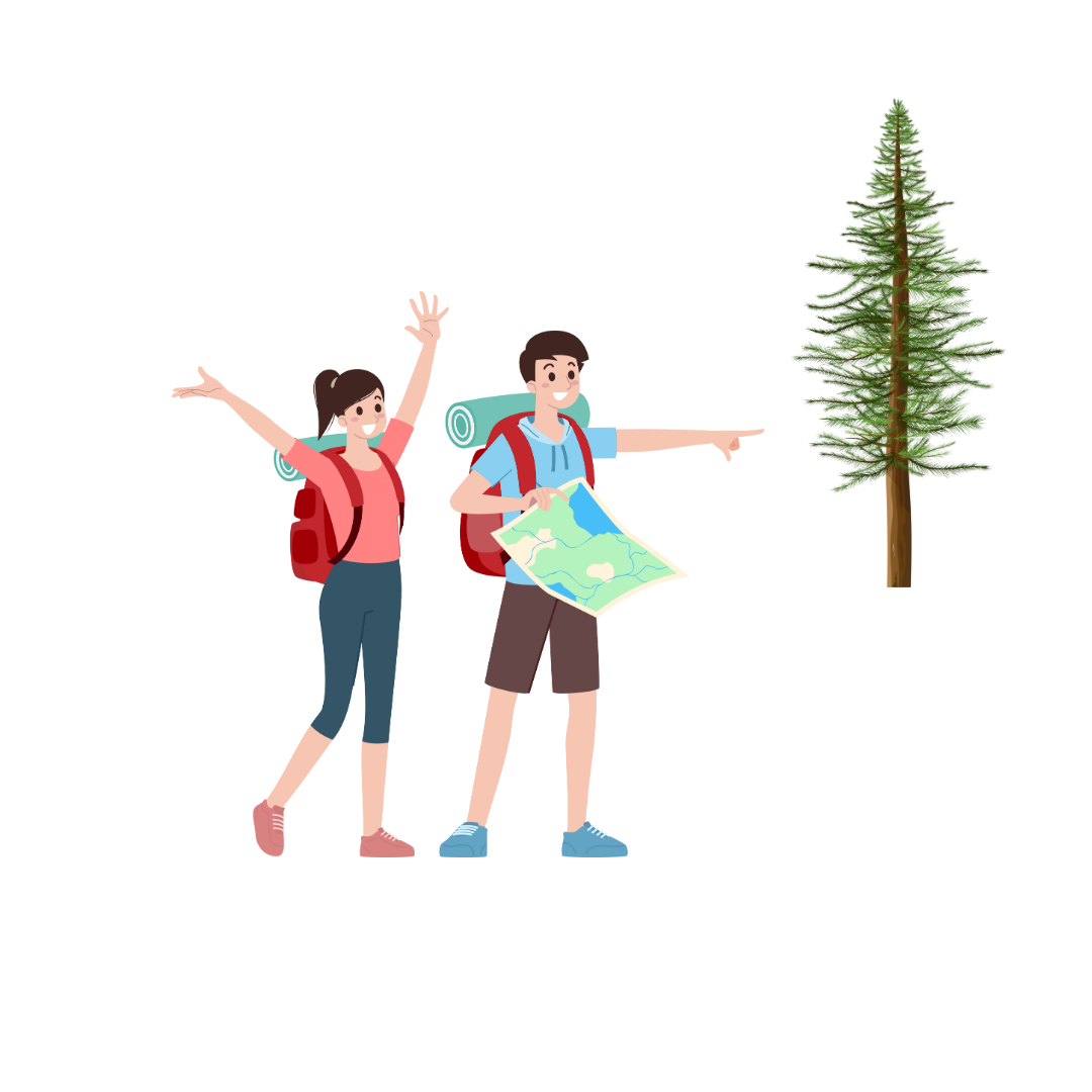 Embark on Journey
