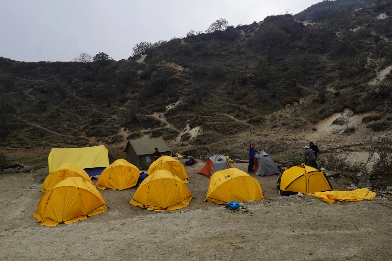 black yak expedition staffs pitching tents at high altitude 7 expedition grade tents are seen pitched on ground along with kitchen tents and dining tents.