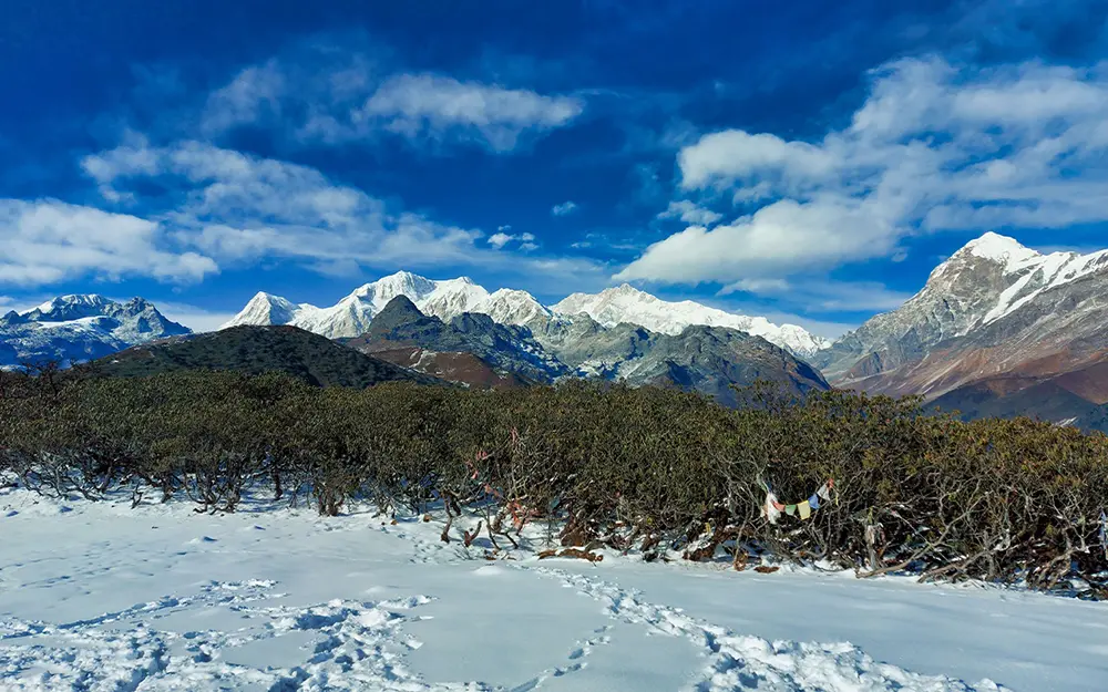 Kanchenjunga range seen from Dzongri Top with snow-covered trails and wide Himalayan views, popular for trekking in Sikkim.